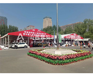 呼和浩特市第二届惠民团车节